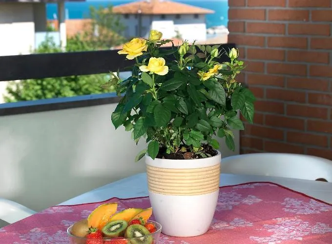 Apartmán Residenza Nobel *